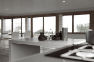 Черно-белые тона (3d shot)