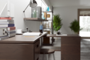 Черно-белые тона