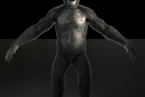 Шимпанзе для рекламы