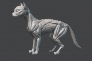 cat speedsculpt