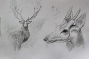 Работа 1893466