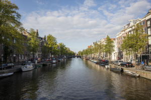 Работа 3625518