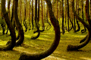 Бермудский треугольник Румынии