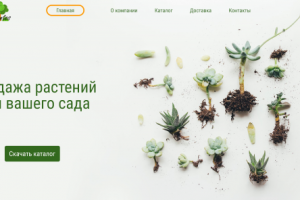 Продажа растений