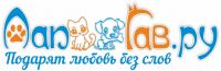 img1873137.png