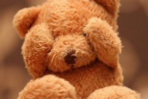 Текст на главную для ИМ (Плюшевые медведи)