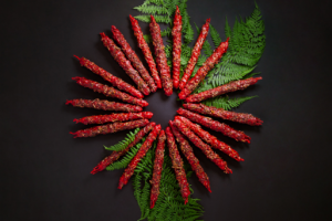 Работа 3588062