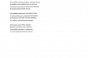 Кто такие ежи