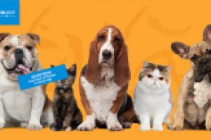 Сайт. Перевозка животных.