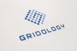 Gridology