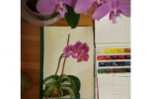 Орхидеи (акварель)