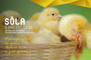 Работа 3534084