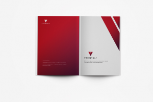 Фирм стиль Pro12Volt