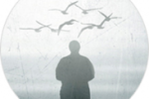 Работа 2453203