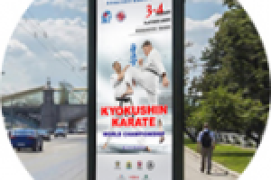 Чемпионат Мира по Киокусинкай Каратэ. Хабаровск 3-4 Октября 2015