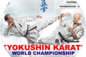 Работа 2536276