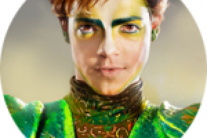 Работа 2310160