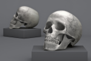 Работа 3045703