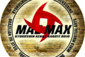 Работа 2566828