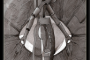 Графика. "Тело".