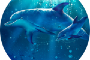 Иллюстрация для панно. 120х80 см. Дельфины