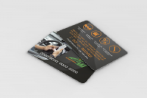 "Единая карта автомобилиста".