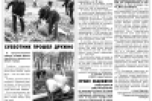 Разработка дизайна "шапки" газеты "Выбор"