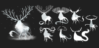 Deer