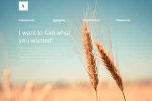 Organica - корпоративный сайт компании