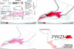 Работа 3116100