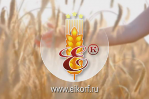 Emelianov & K, Ltd. Корпоративный ролик на английском языке