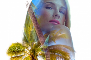 Работа 3595321