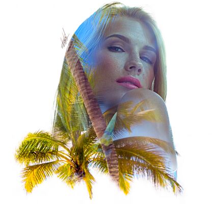 img3595321.png