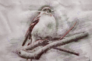 Работа 3595258