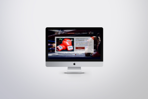 ThaiGear —экипировка для тайского бокса.