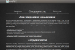 Лэндинг компании "NovoPlay"