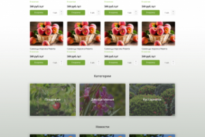 Landing Page Саженцы РФ