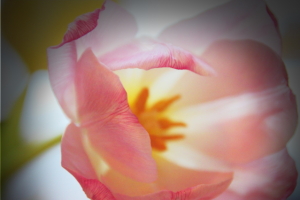 Работа 3280125