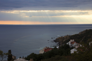 Работа 3280071