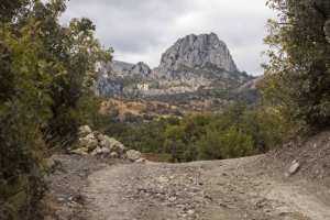 Работа 3280064