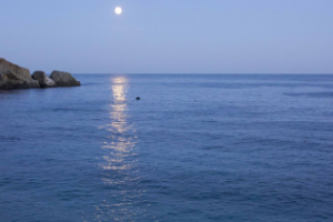 Работа 3280077