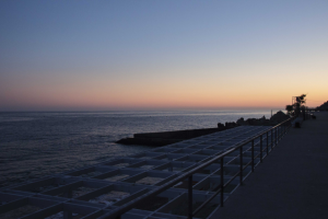 Работа 3280078