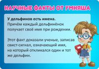 img2404977.png