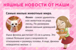 Фирменный пост для соцсетей