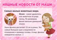 img2404975.png