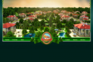 Дачный поселок Рыжики