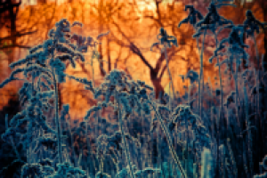 Работа 1829466