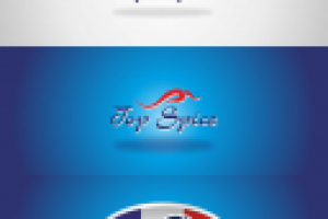 Логотип для компании занимающейся продажей специй