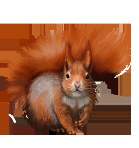 img3239112.png