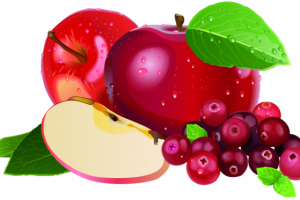 Яблоки+брусника, рисунок для упаковки